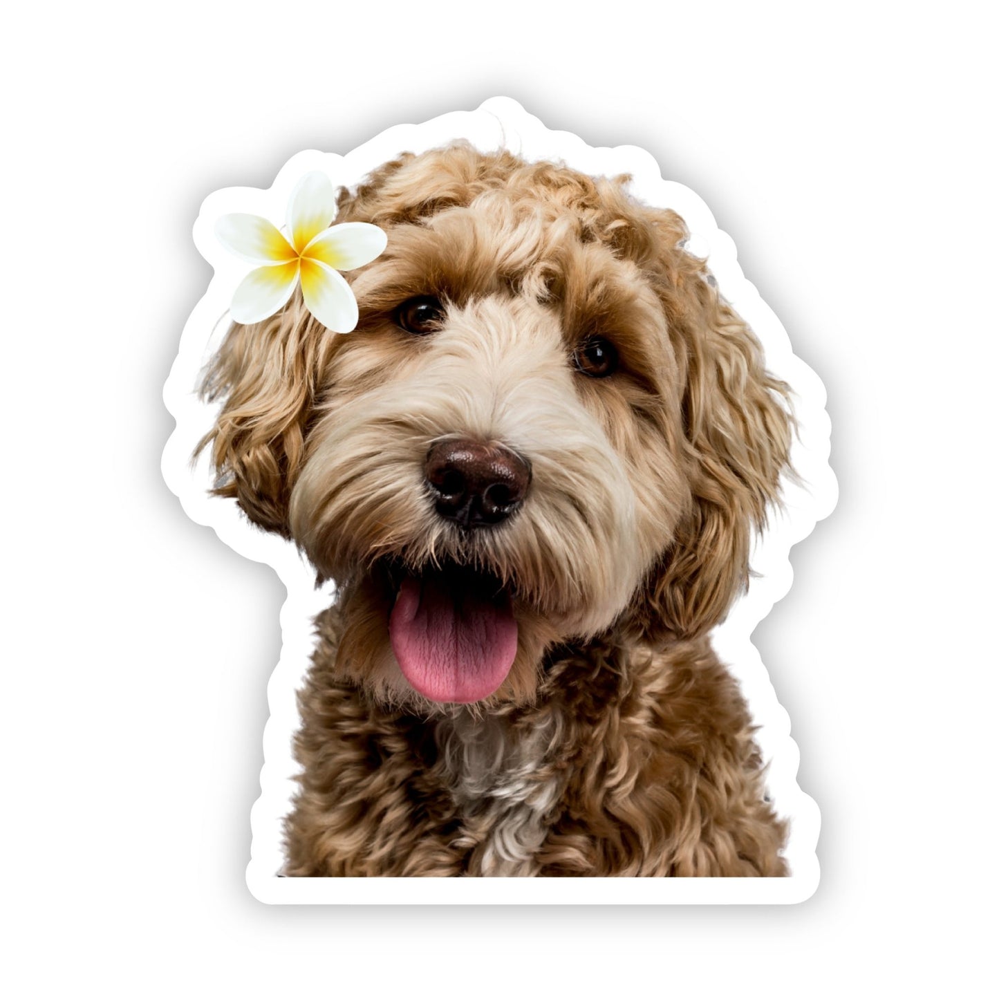 Goldendoodle with Plumeria Sticker 3" Global Village Kailua Boutique