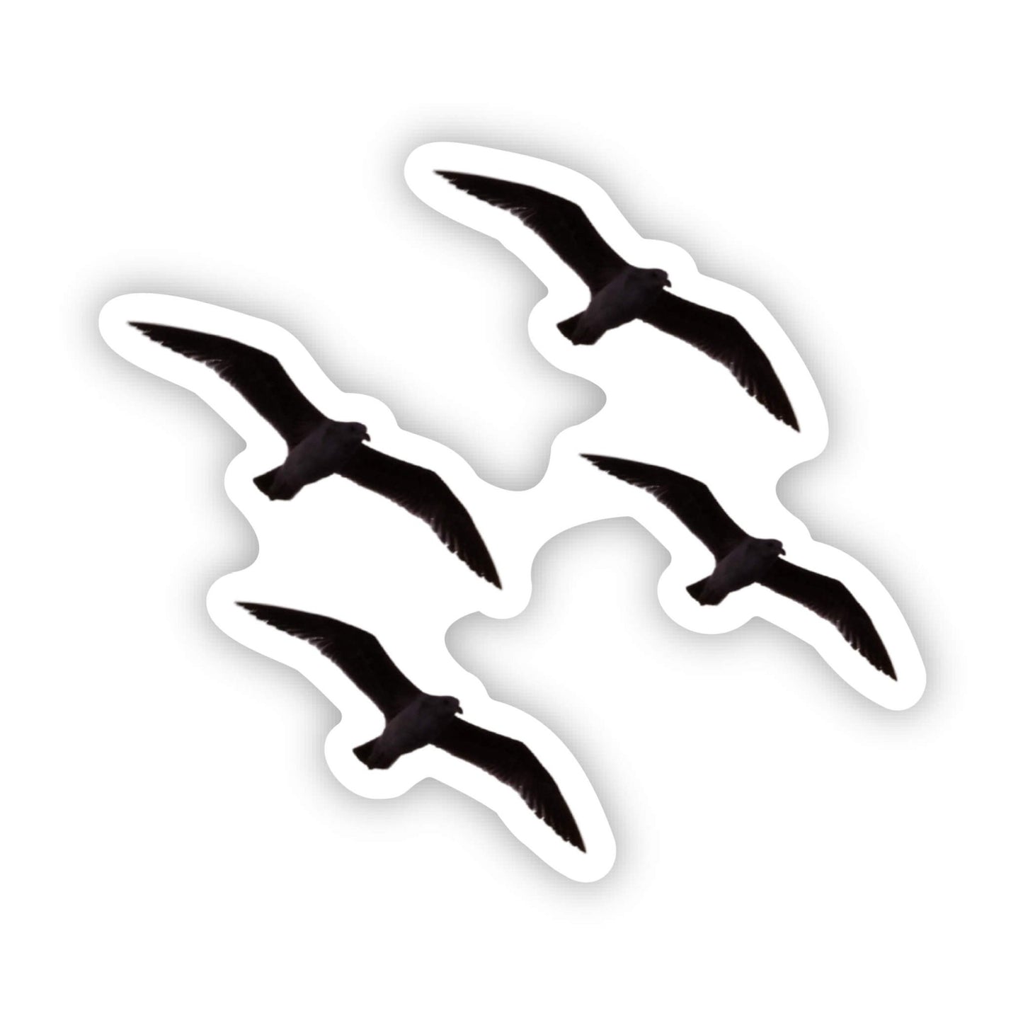 ʻIwa Bird Sticker 3" Global Village Kailua Boutique