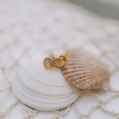 Gold shell-shaped earrings on a white seashell with a textured surface.