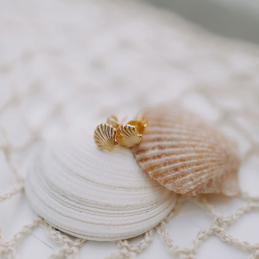 Gold shell-shaped earrings on a white seashell with a textured surface.
