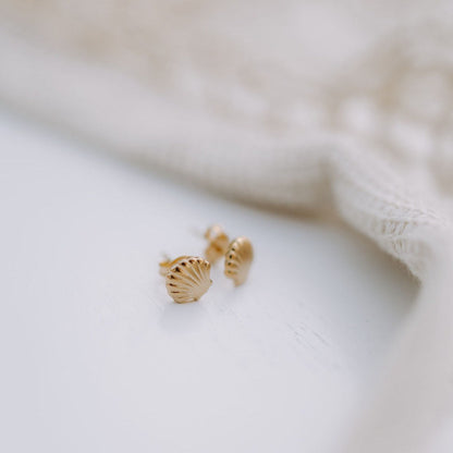 Gold shell-shaped earrings on a light background