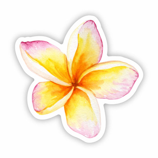 Plumeria Flower Sticker 3" Global Village Kailua Boutique